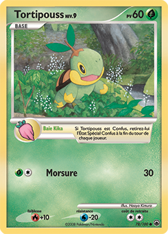 Tortipouss dp5 Aube Majestueuse