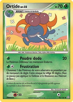 096/146 - Ortide