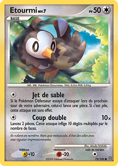 Etourmi dp7 Tempête