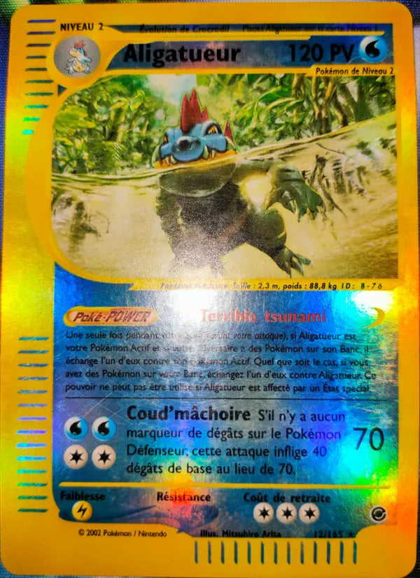 012/165 - Aligatueur