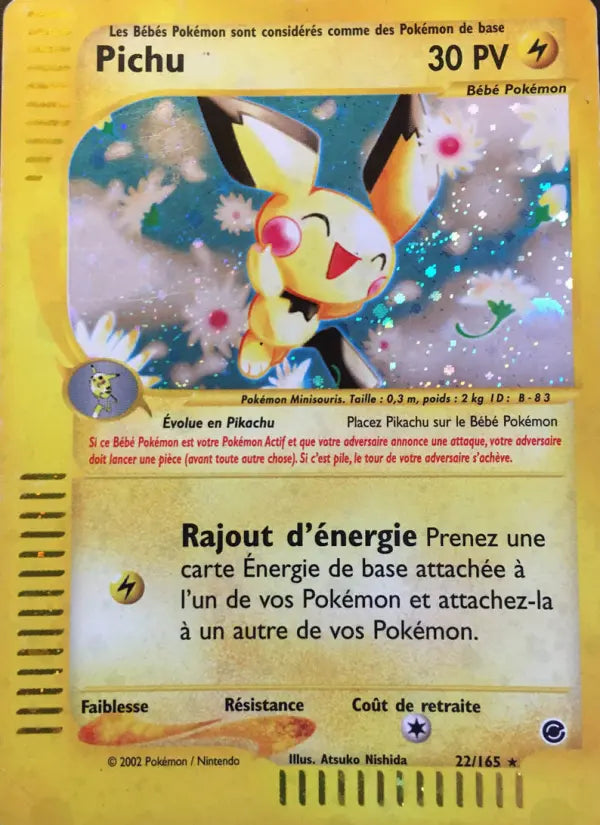 022/165 - Pichu