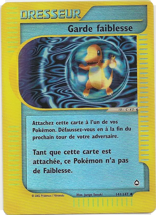 141/147 - Garde faiblesse