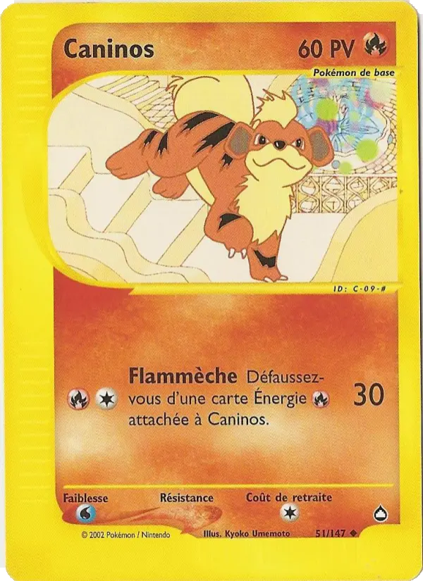 Caninos — Carte Pokémon 51 Aquapolis