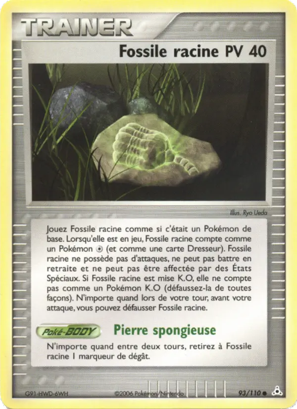 093/110 - Fossile racine