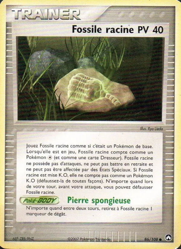 086/108 - Fossile racine