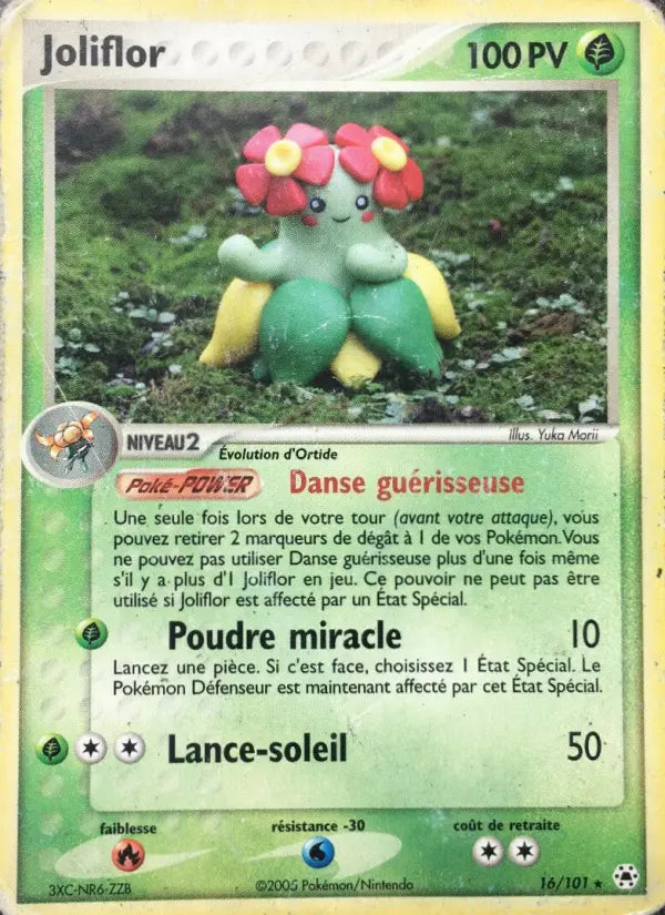 016/101 - Joliflor