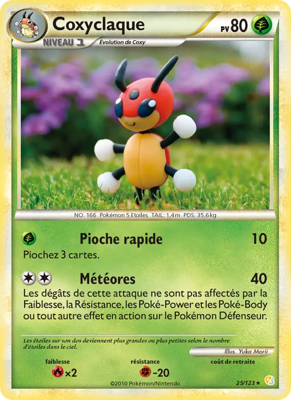 025/123 - Coxyclaque