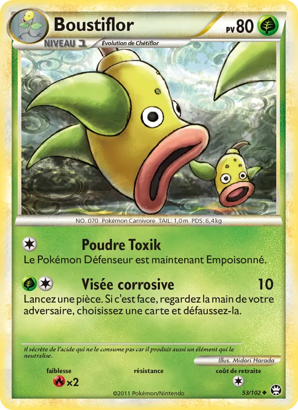 053/102 - Boustiflor