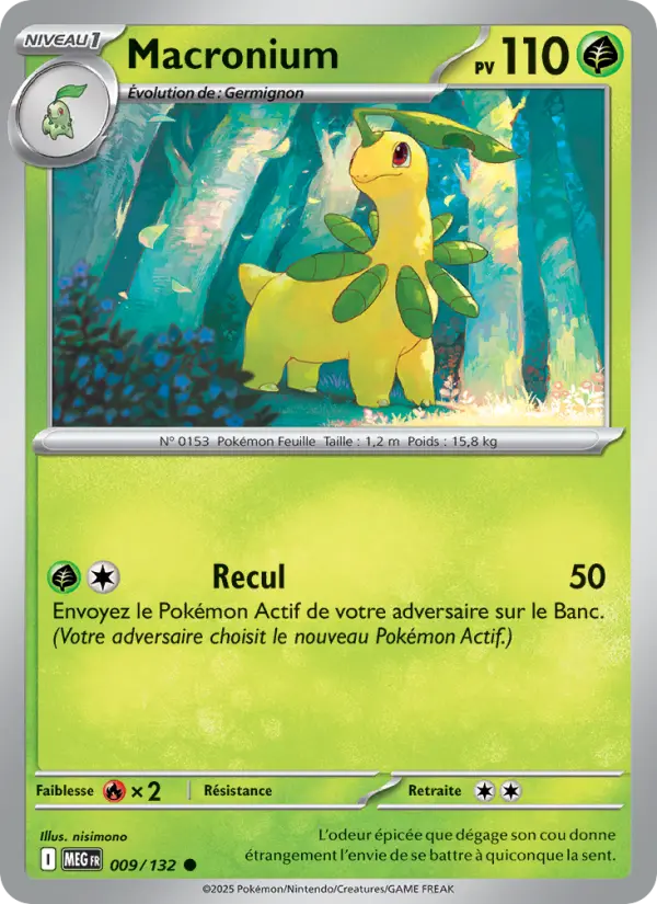 009/132 - Macronium
