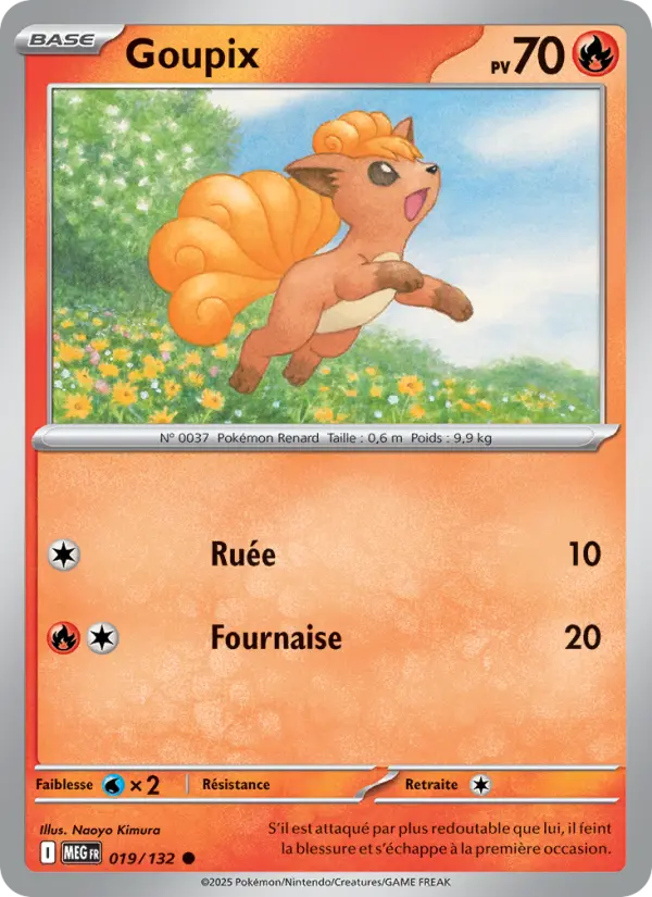 019/132 - Goupix