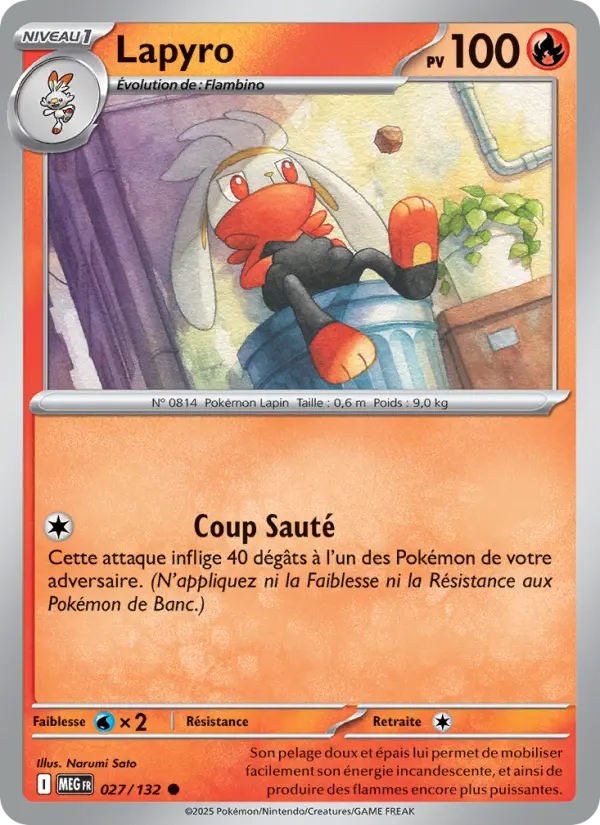 027/132 - Lapyro