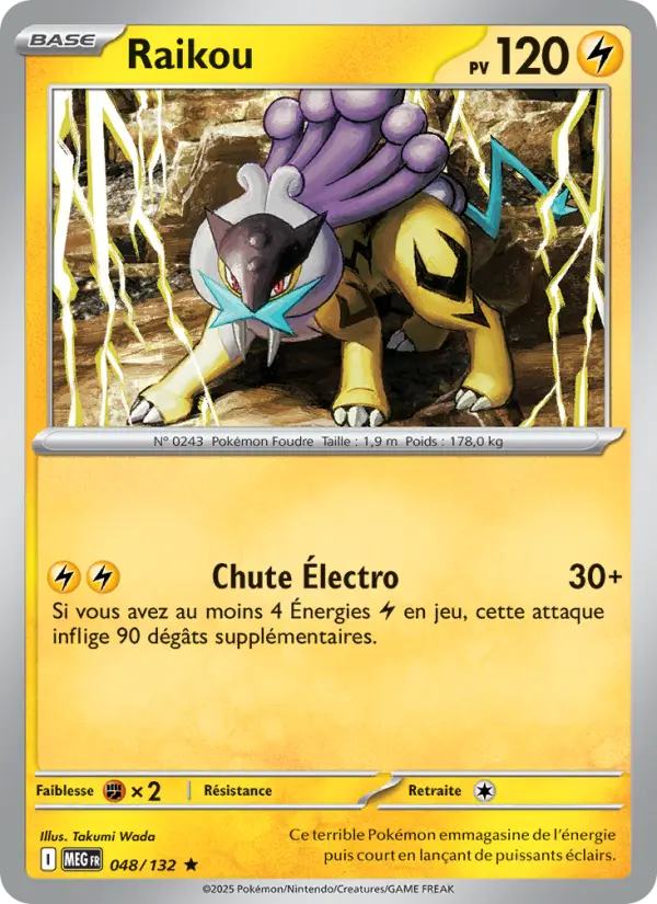 048/132 - Raikou