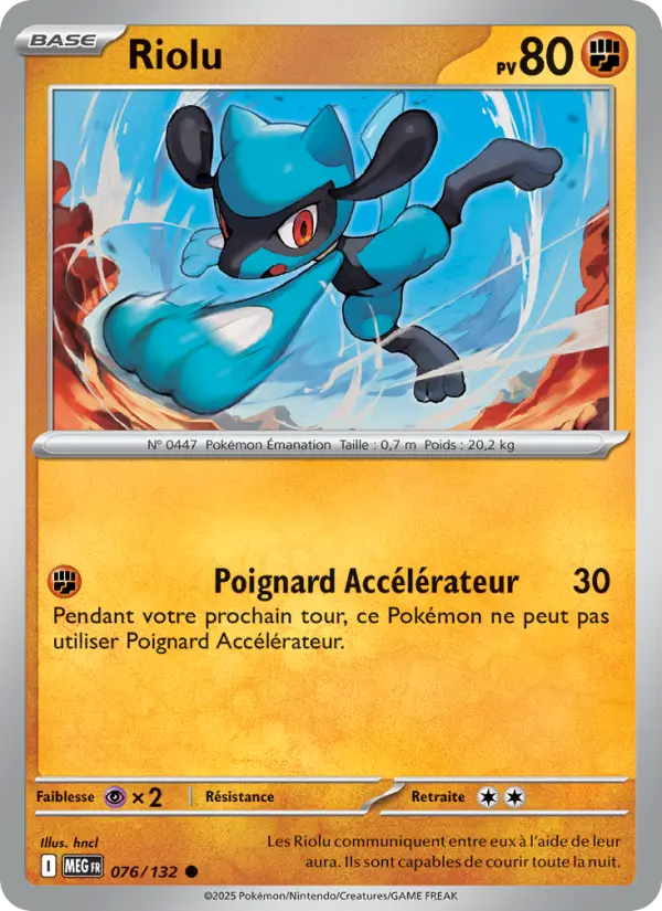 076/132 - Riolu
