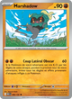 080/132 - Marshadow