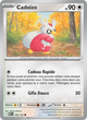 105/132 - Cadoizo