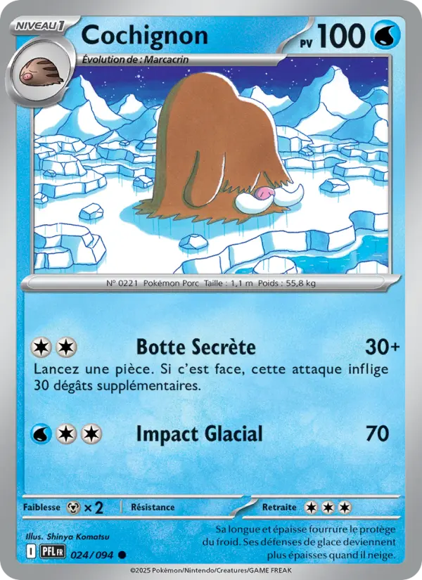 Cochignon — Carte Pokémon 024 Flammes Fantasmagoriques