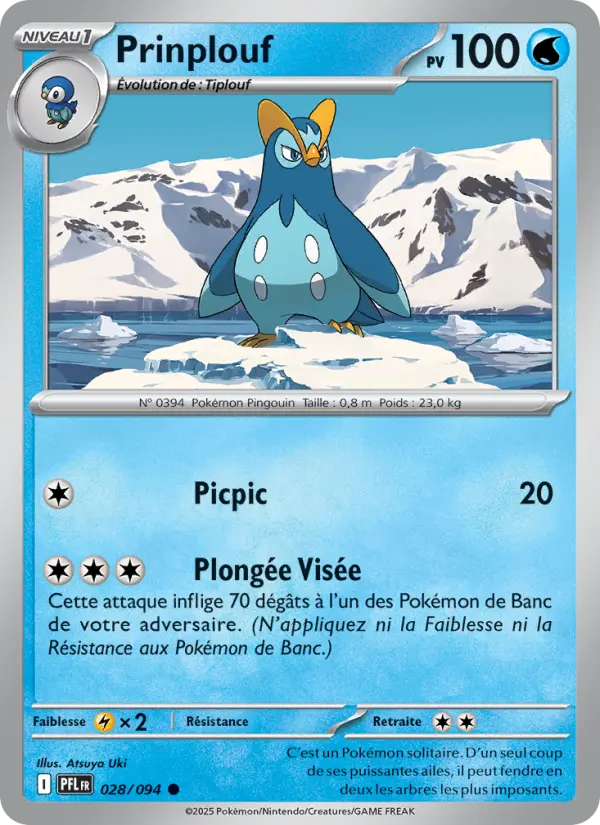 028/094 - Prinplouf