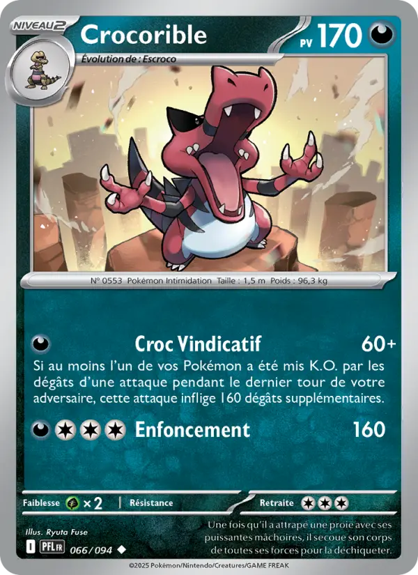 066/094 - Crocorible