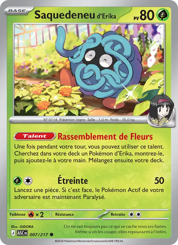 Saquedeneu d'Erika — Carte Pokémon 007 Héros Transcendants