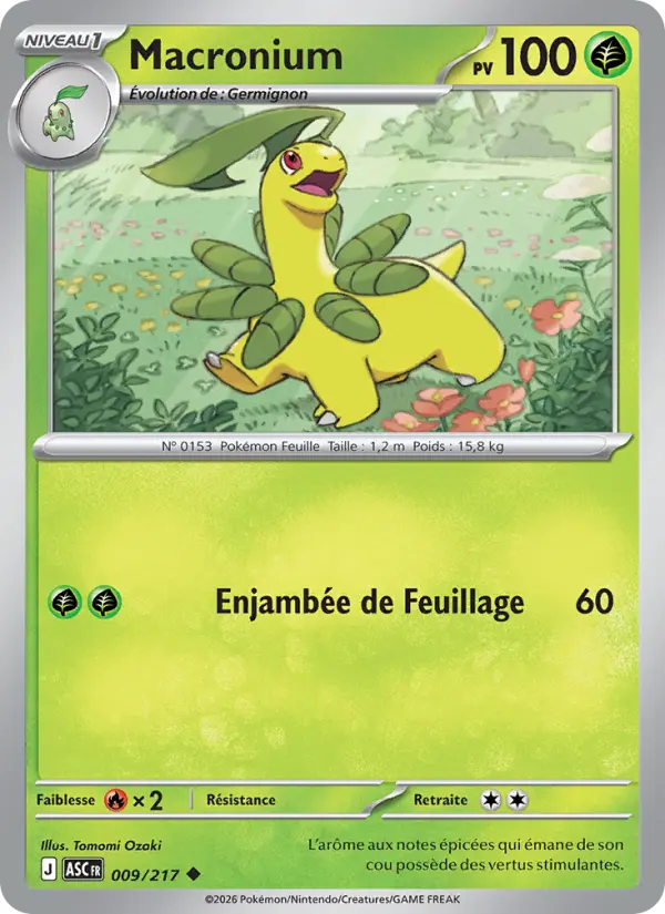 Macronium — Carte Pokémon 009 Héros Transcendants