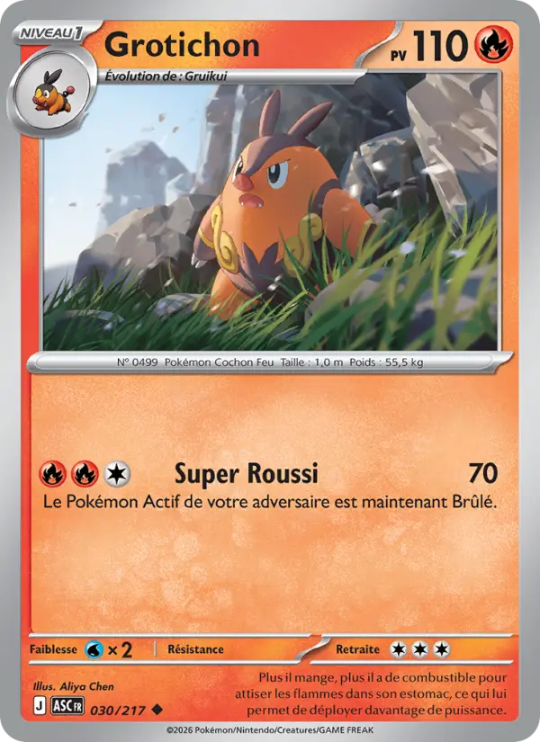 Grotichon — Carte Pokémon 030 Héros Transcendants