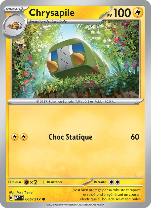 Chrysapile — Carte Pokémon 065 Héros Transcendants
