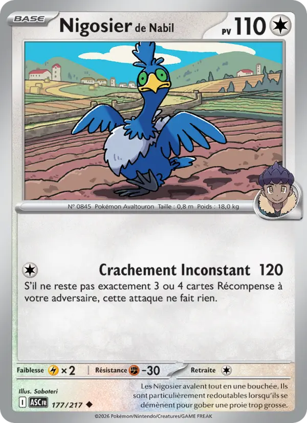Nigosier de Nabil — Carte Pokémon 177 Héros Transcendants