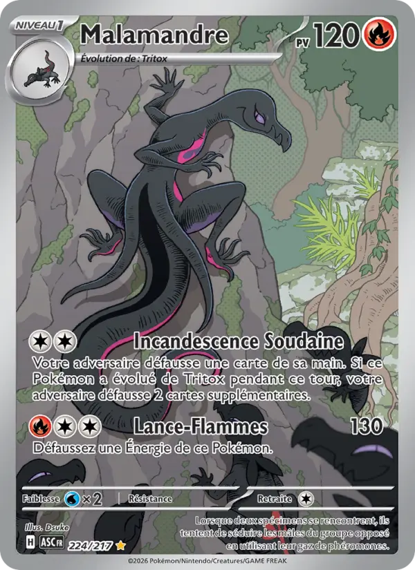 Malamandre — Carte Pokémon 224 Héros Transcendants