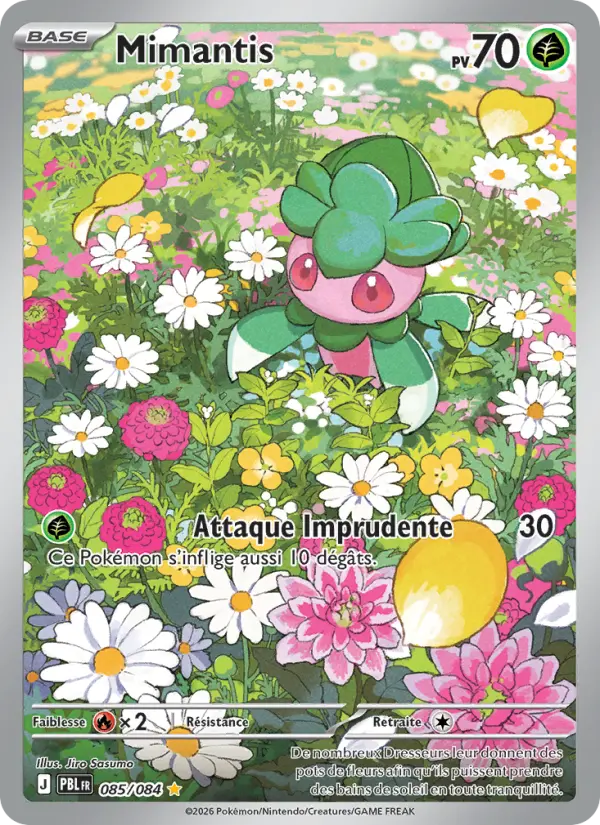 085/084 - Mimantis