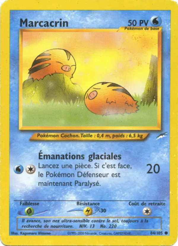 084/105 - Marcacrin