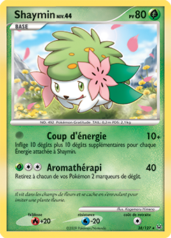 Shaymin pl1 Tempête