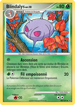 Blindalys pl1 Tempête