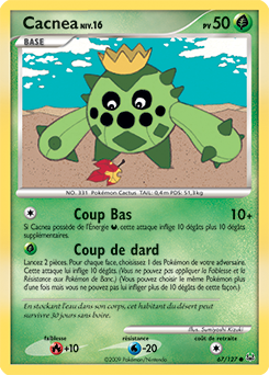 067/127 - Cacnea