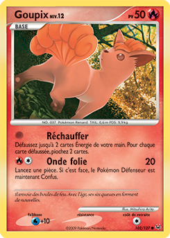 Goupix pl1 Tempête