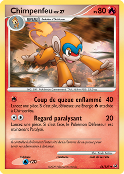 Chimpenfeu pl1 Tempête