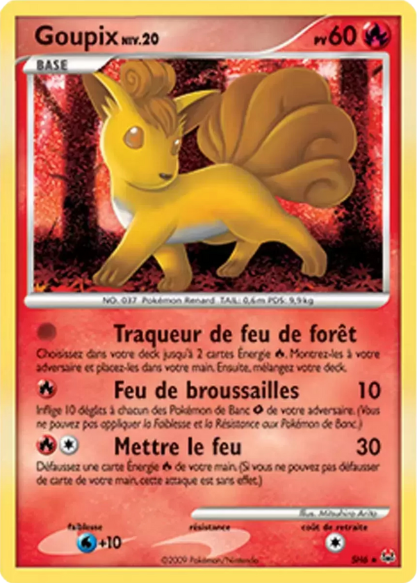 Goupix pl1 Tempête