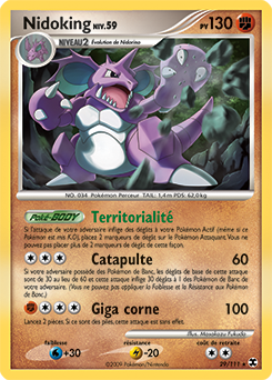 029/111 - Nidoking