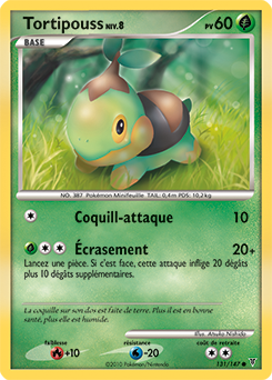 Tortipouss pl3 Tempête