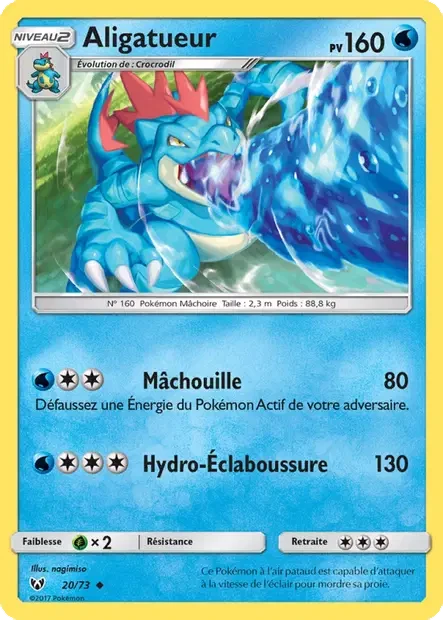 020/073 - Aligatueur