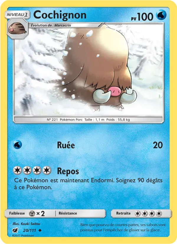 020/111 - Cochignon