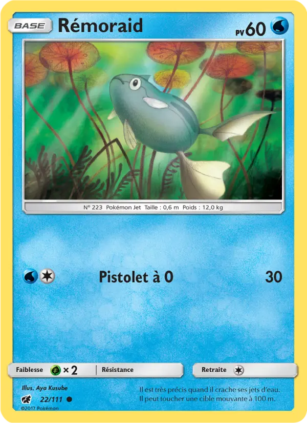 022/111 - Rémoraid