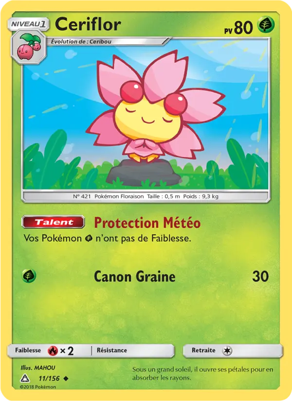 011/156 - Ceriflor