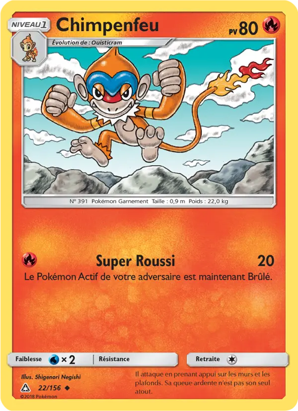 022/156 - Chimpenfeu
