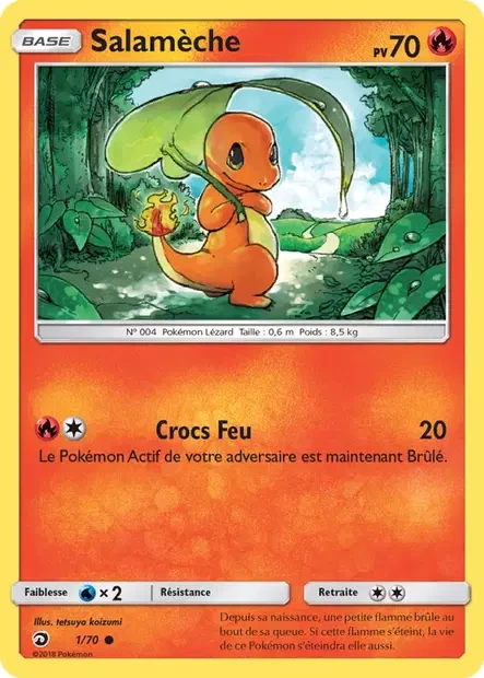 Carte Pokémon Salamèche sm10