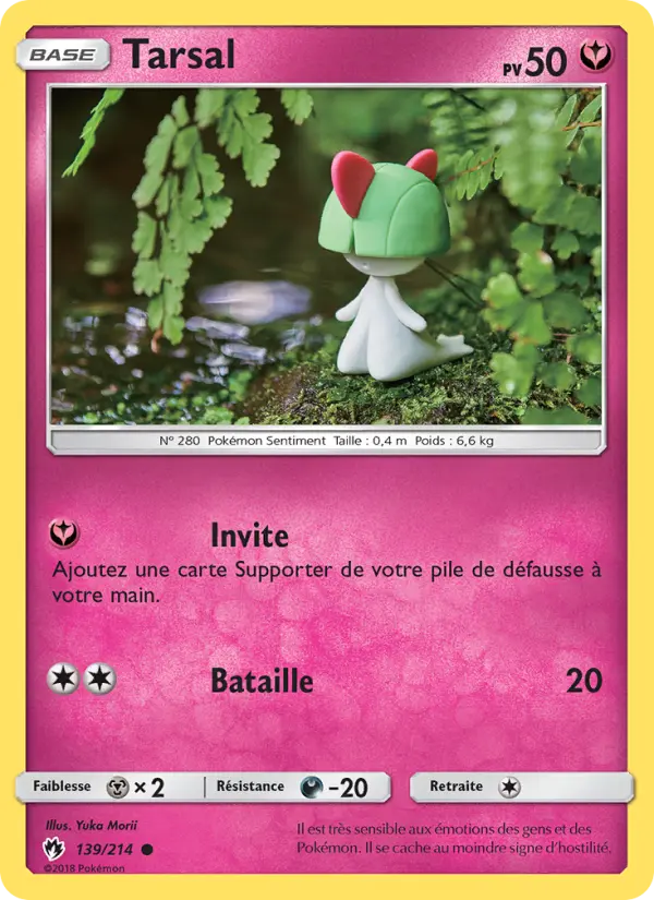 139/214 - Tarsal