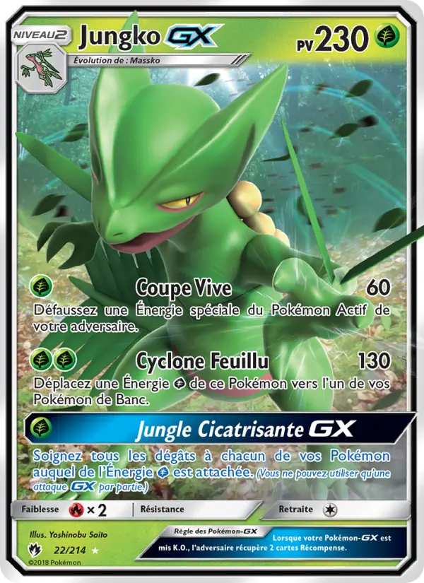 022/214 - Jungko GX