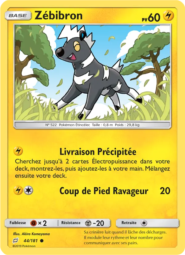 Zébibron — Carte Pokémon 44 Duo de Choc