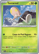 024/198 - Terracool