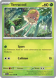 025/198 - Terracool