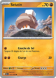121/193 - Selutin